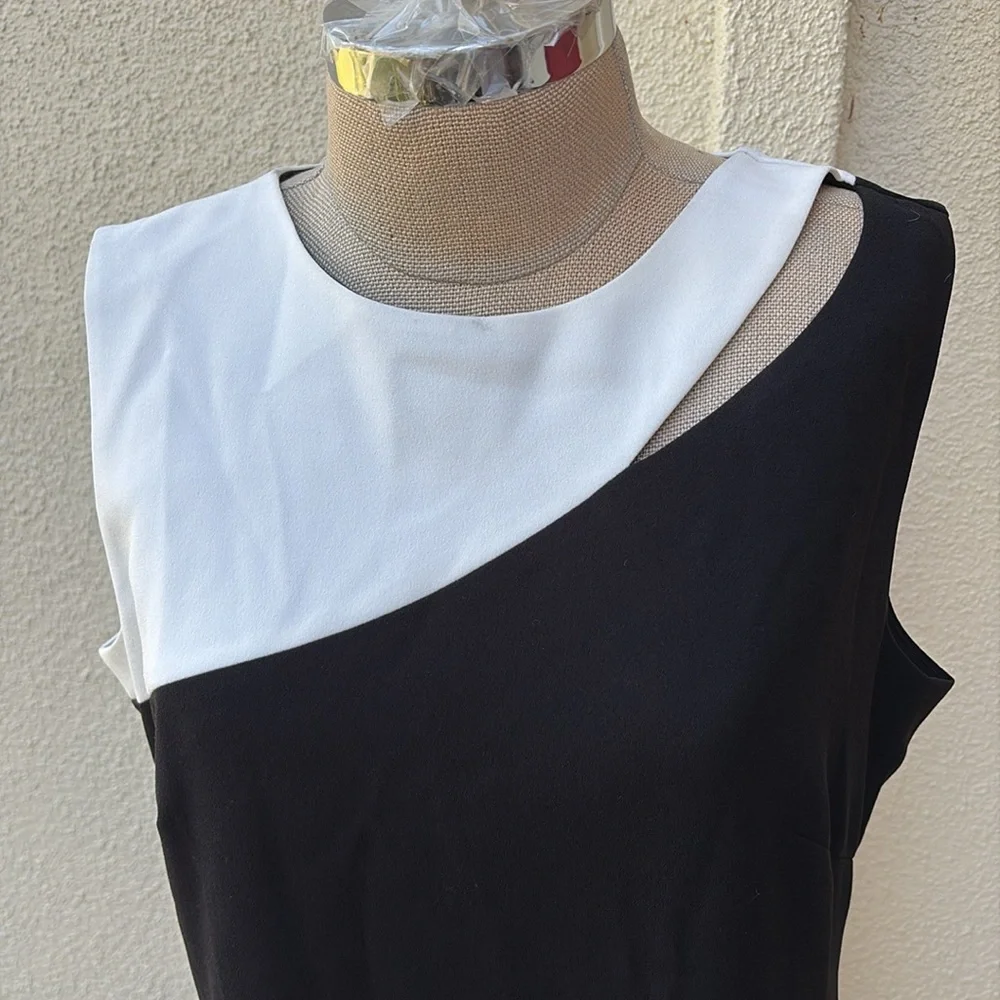 NWT Judith & Charles Black and White beautiful Sleeveless Massena two tone Dress